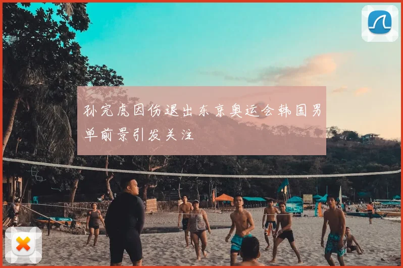 孙完虎因伤退出东京奥运会韩国男单前景引发关注