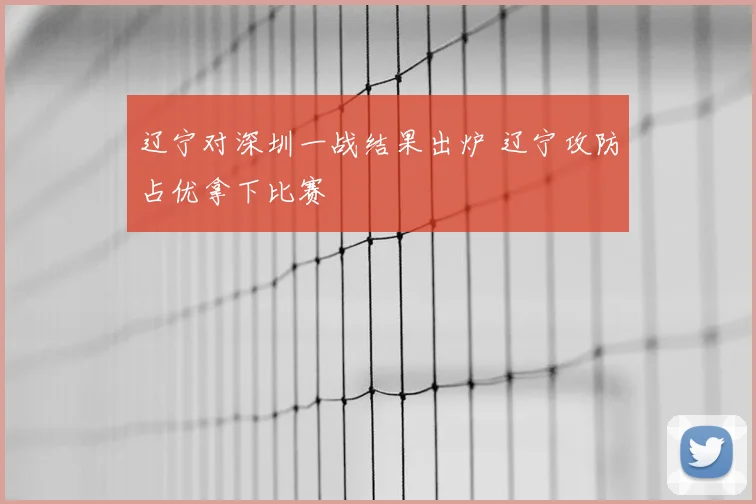 辽宁对深圳一战结果出炉 辽宁攻防占优拿下比赛