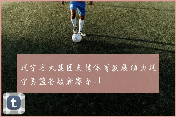 辽宁方大集团支持体育发展助力辽宁男篮备战新赛季_1