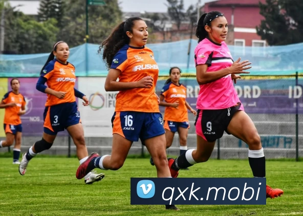 开云(中国)Kaiyun·官方网站APP 高清赛事图